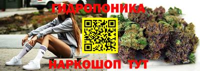 шишки Пушкино