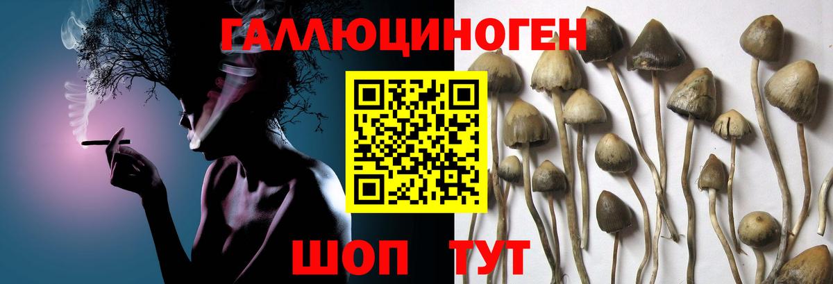 Галлюциногенные грибы мухоморы Прокопьевск